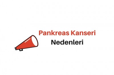 Pankreas Kanseri Evreleri ve Belirtileri