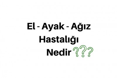 El Ayak Ağız Hastalığında Yapılması Gereken 7 Madde