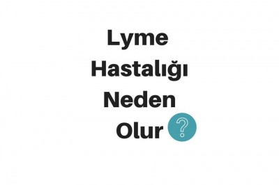 Lyme Hastalığı Nedir? Lyme Hastalığının Belirtileri