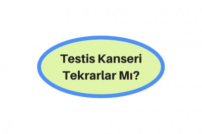 Testis Kanseri Nedir Belirtileri Nelerdir? Testis Kanseri Tedavi Yöntemleri