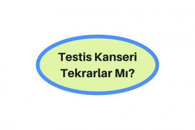 Testis Kanseri Nedir Belirtileri Nelerdir? Testis Kanseri Tedavi Yöntemleri