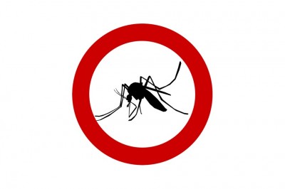 Dengue Fever (Dang Humması) Hastalığı Belirtileri Nedir? Hangi Ülkelerde Görülür?